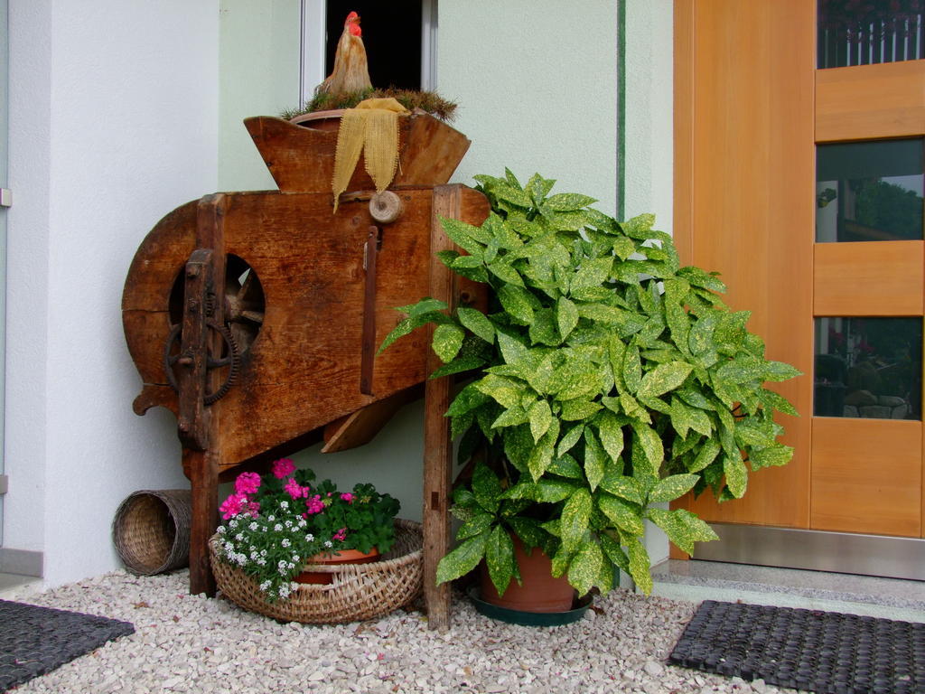 Kerschbamerhof Im Sueden Suedtirols Cortaccia Exterior photo