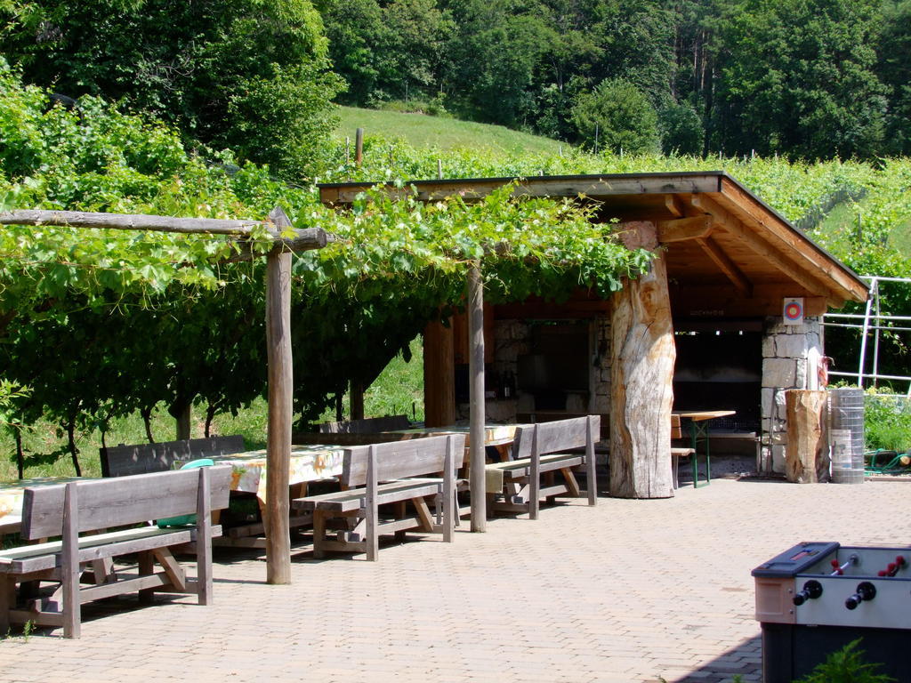 Kerschbamerhof Im Sueden Suedtirols Cortaccia Exterior photo